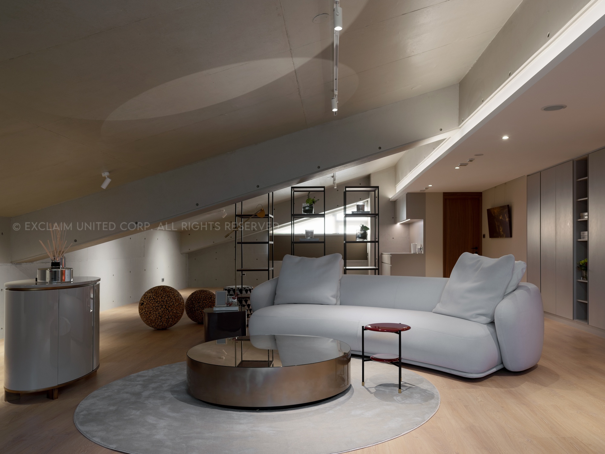 現代豪宅-主題天花板